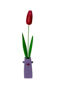 Czerwony tulipan w fioletowym flakonie