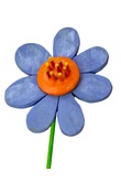 Kwiatek duy stojcy niebieski