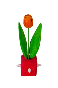 Red tulip in a vase