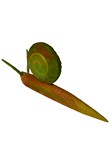 Snail orange-green hanging, Sculpture